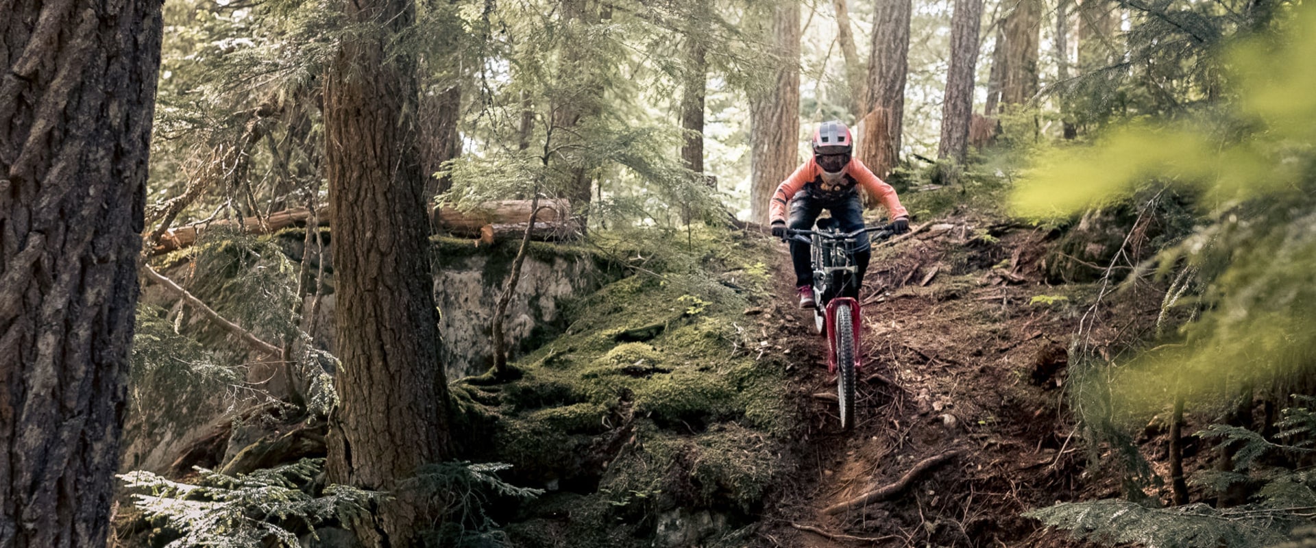 Bike Rentals in Aptos CA - Location and Hours